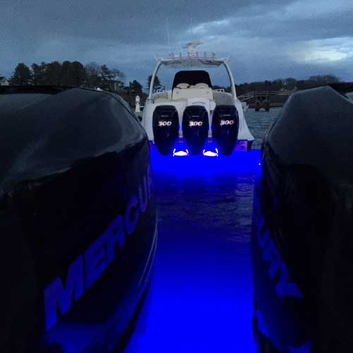 Éclairage beu cobalt de la led Bluefin Led Pinranha P4 Bronze