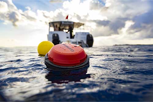 Bouée Garmin Descent S1 connectée